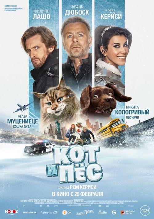 Кот и пес 