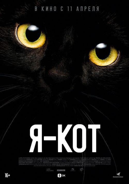 Я — кот 